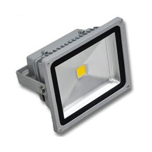 Floodlight 10W