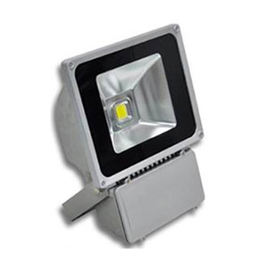 Floodlight 100W